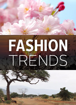 > Fashion Trends
